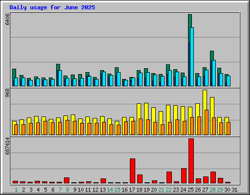 Daily usage for June 2025